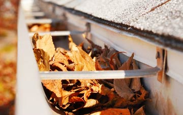 Beaufort gutter cleaning companies